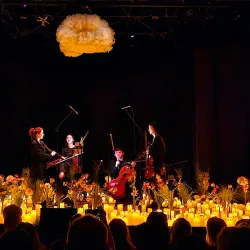 Media Theatre for the Performing Arts - Media