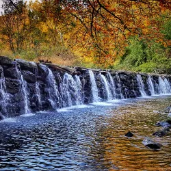 Ridley Creek State Park - Media