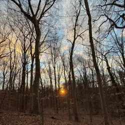 Ridley Creek State Park - Media