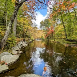 Ridley Creek State Park - Media