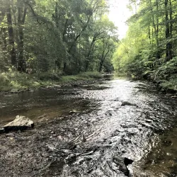 Ridley Creek State Park - Media