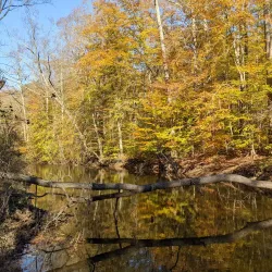Ridley Creek State Park - Media