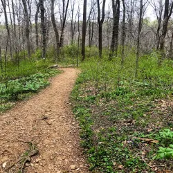Ridley Creek State Park - Media