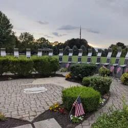 Rose Tree Park - Media