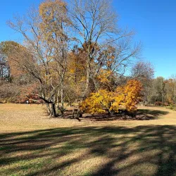 Rose Tree Park - Media