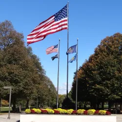 Rose Tree Park - Media