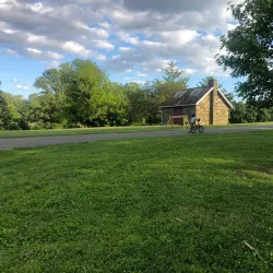 Rose Tree Park - Media