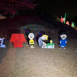 Rose Tree Park - Media