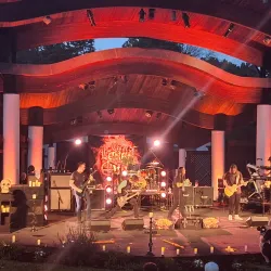 Rose Tree Park - Media