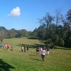 Rose Tree Park - Media