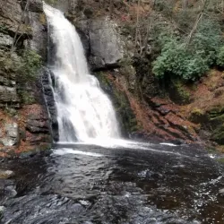 Delaware River - Milford