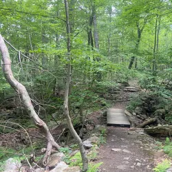 High Point State Park - Milford