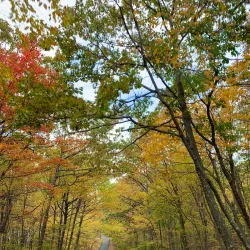 High Point State Park - Milford