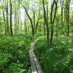 High Point State Park - Milford