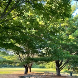 Milford Beach - Milford