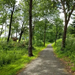 Milford Beach - Milford