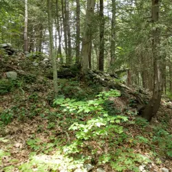 Milford Beach - Milford