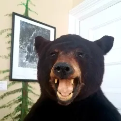 The Columns Museum - Milford