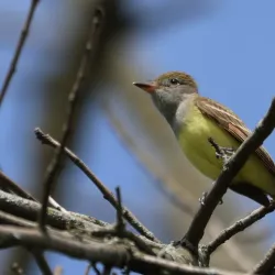 Delaware River Waterfront - Morrisville