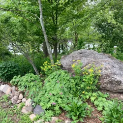 Delaware River Waterfront - Morrisville