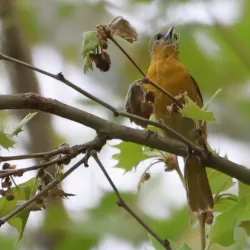 Delaware River Waterfront - Morrisville