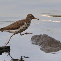 Delaware River Waterfront - Morrisville