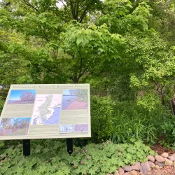 Delaware River Waterfront - Morrisville