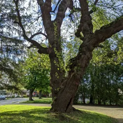 Morrisville Historical Society Museum - Morrisville