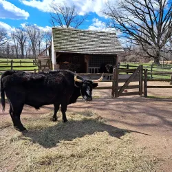 Pennsbury Manor - Morrisville