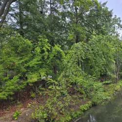 Cascade Park - New Castle