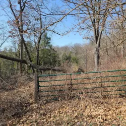 Cascade Park - New Castle