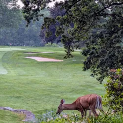 New Castle Country Club - New Castle