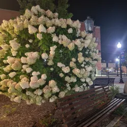 Ebensburg Historic District - Patton