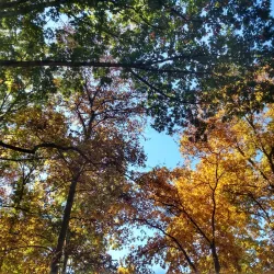 Lenape Park - Perkasie