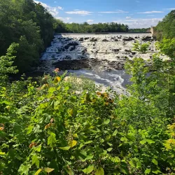 Nockamixon State Park - Perkasie