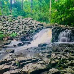 Nockamixon State Park - Perkasie