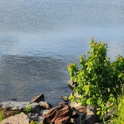 Nockamixon State Park - Perkasie