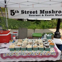 Perkasie Farmers Market - Perkasie