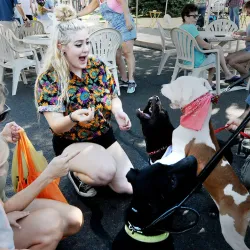 Perkasie Farmers Market - Perkasie