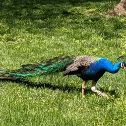 Philadelphia Zoo - Philadelphia