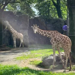 Philadelphia Zoo - Philadelphia
