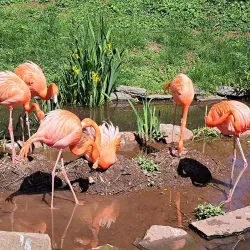 Philadelphia Zoo - Philadelphia