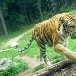 Philadelphia Zoo - Philadelphia