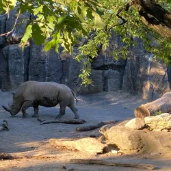 Philadelphia Zoo - Philadelphia