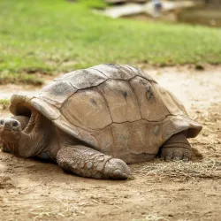 Philadelphia Zoo - Philadelphia