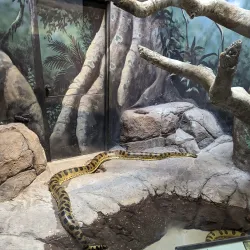 Philadelphia Zoo - Philadelphia