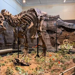 Carnegie Museum of Natural History - Pittsburgh