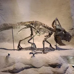 Carnegie Museum of Natural History - Pittsburgh