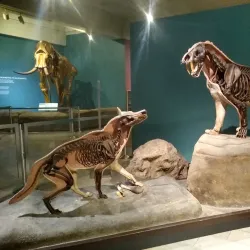 Carnegie Museum of Natural History - Pittsburgh