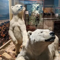 Carnegie Museum of Natural History - Pittsburgh